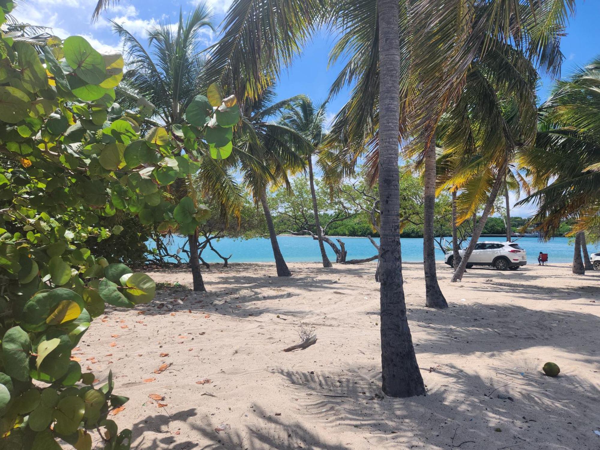 Casita Linda Larimar - 2Br Apartment With Rooftop, Bay Views, Fast Wifi, Near Beach In Barahona 外观 照片